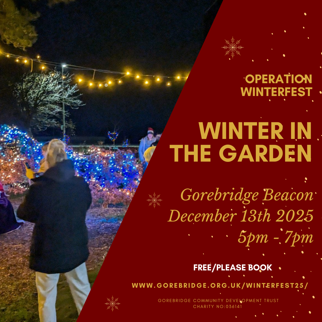 Winter in Garden Img